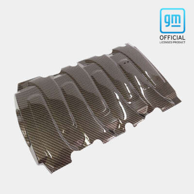 C7 Corvette LT1 Engine Intake Cover Overlay Hydro Carbon Fiber